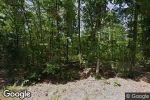 7787 Trottinridge Rd, Skipwith, VA 23968