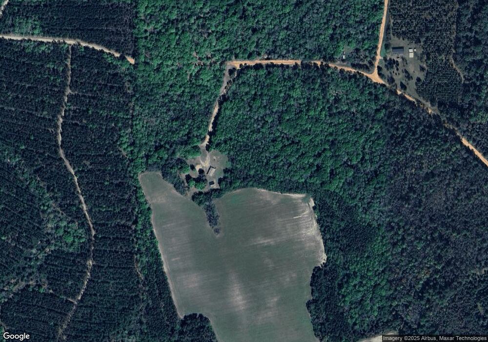 1647 Joe Ellis Rd, Broxton, GA 31519 - photo 1