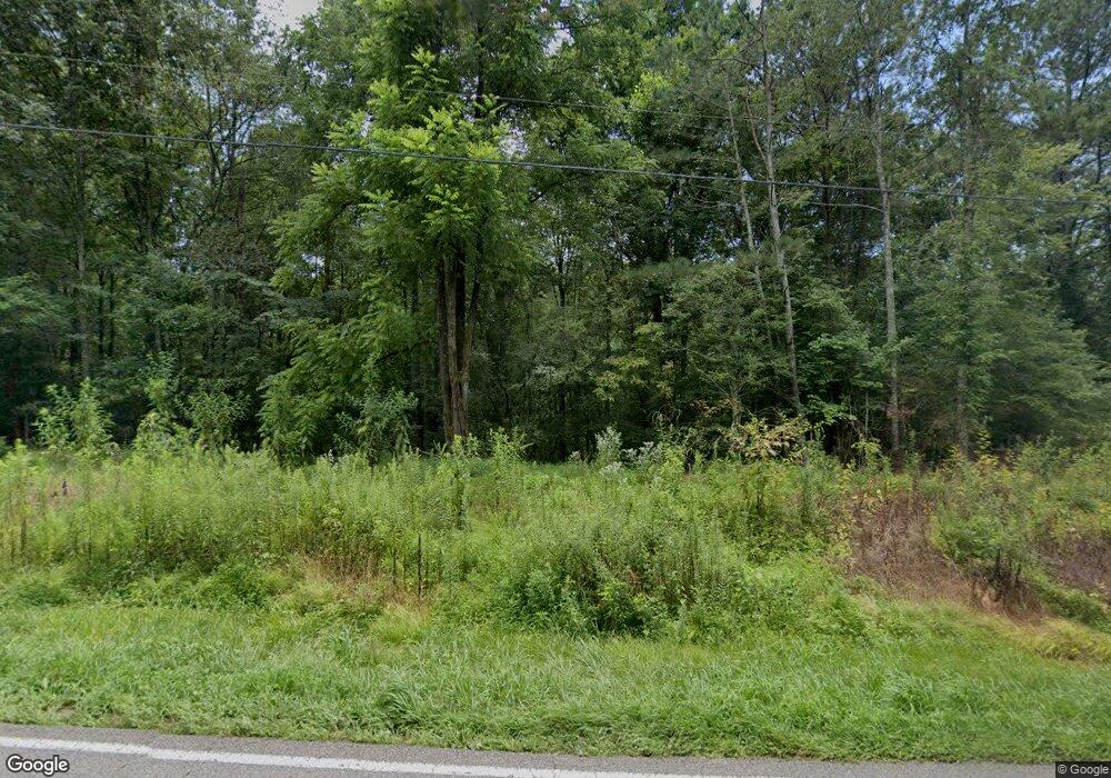 1316 Clear Creek Rd, Ellijay, GA 30536 - photo 1