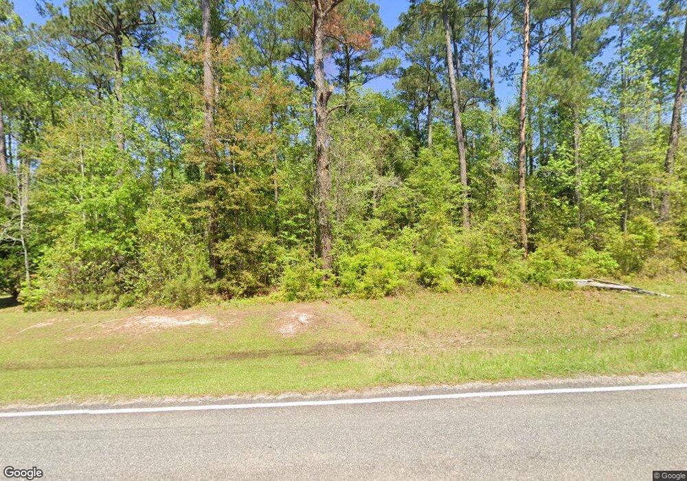 4554 Ga Highway 65, Pelham, GA 31779 - photo 1
