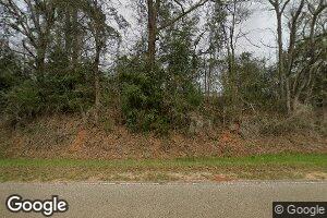 37207 Hesters Store Rd, Red Level, AL 36474