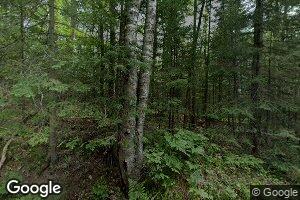 3738 Razorback Rd, Sayner, WI 54560