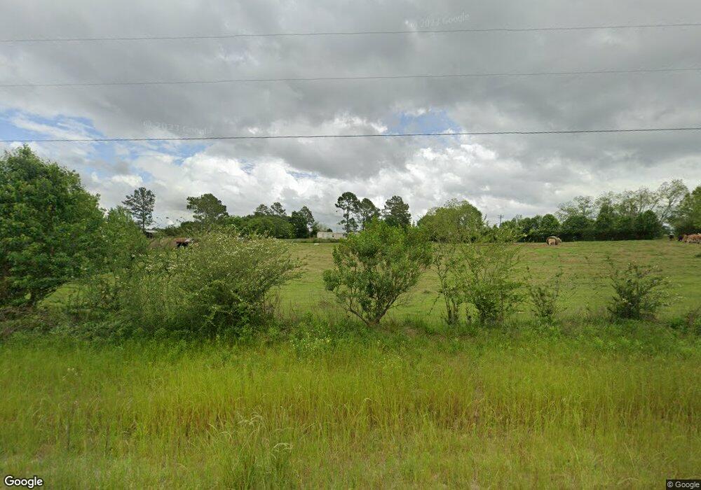 2456 Funston Sigsbee Rd, Doerun, GA 31744 - photo 1