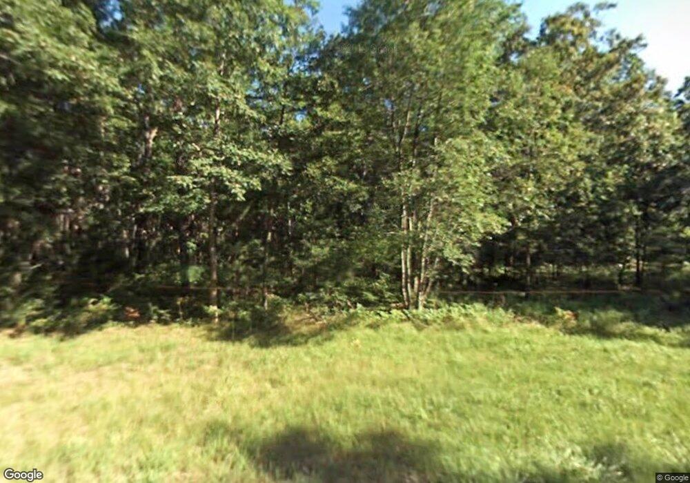 257 Hayes St, Bitely, MI 49309 - photo 1