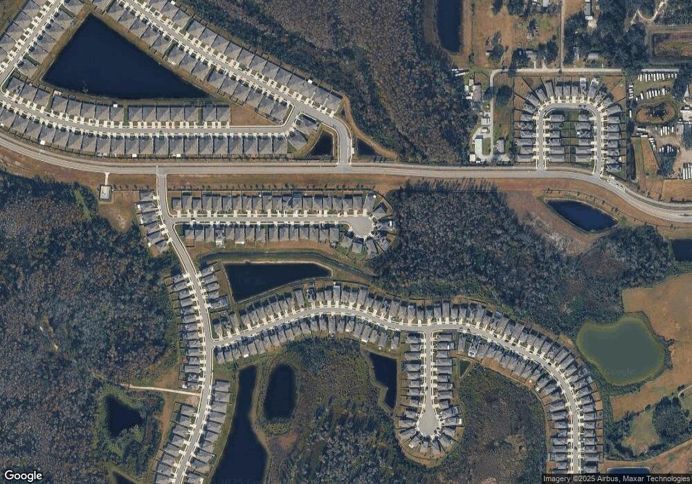 18374 Falling Pine Needle Ln, Land O Lakes, FL 34638 - photo 1