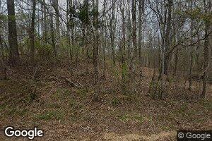 1607 Reid Rd, Vina, AL 35593