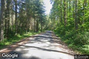 206 Lutkins Rd, Mineral, WA 98355