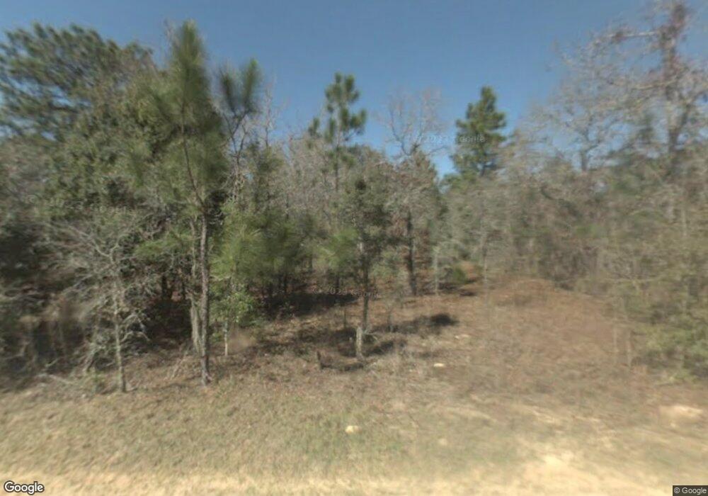 295 E Benjamin St, Hernando, FL 34442 - photo 1