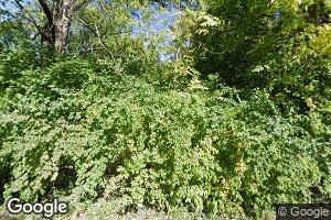 3729 Walnut Ave, East Saint Louis, IL 62207