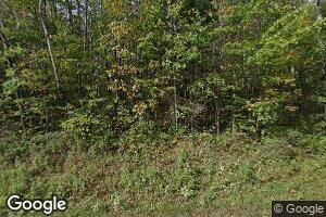 53711 Dunbar Lake Rd, Blackduck, MN 56630