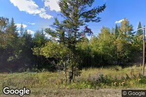 556 N Pleasantview Rd, Pellston, MI 49769