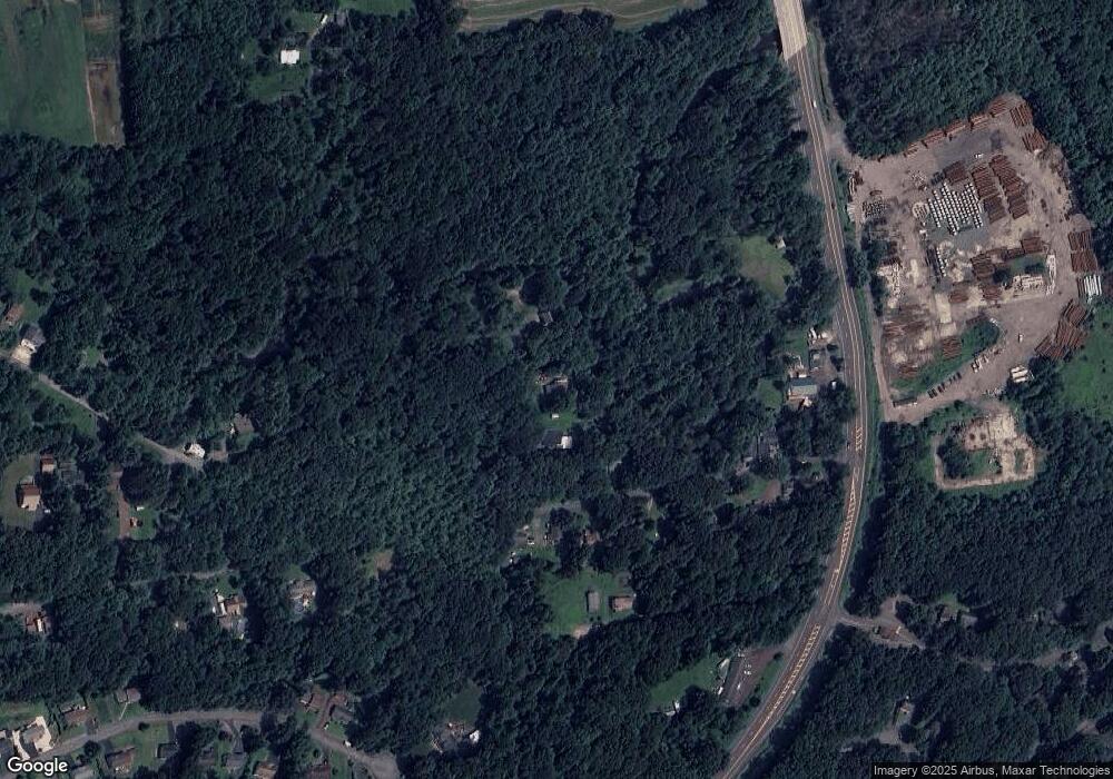 41 Nesco Manor Rd, Drums, PA 18222 - photo 1