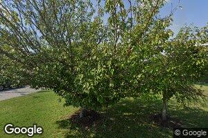 89 Bob Musgrove Rd, Pine Knot, KY 42635