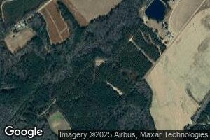 343 Vizsla Loop, Early Branch, SC 29916