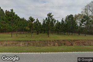 3351 E Effingham Hwy, Effingham, SC 29541