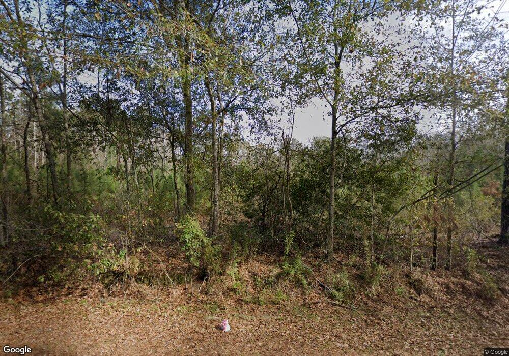 165 McNair Moore Rd, Climax, GA 39834 - photo 1