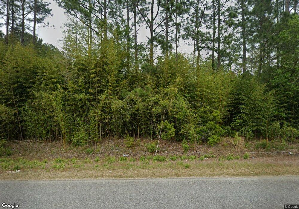 2668 Spring Flats Rd, Sylvester, GA 31791 - photo 1
