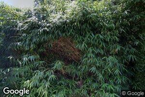 8036 Ruby Harrison Rd, Bozman, MD 21612