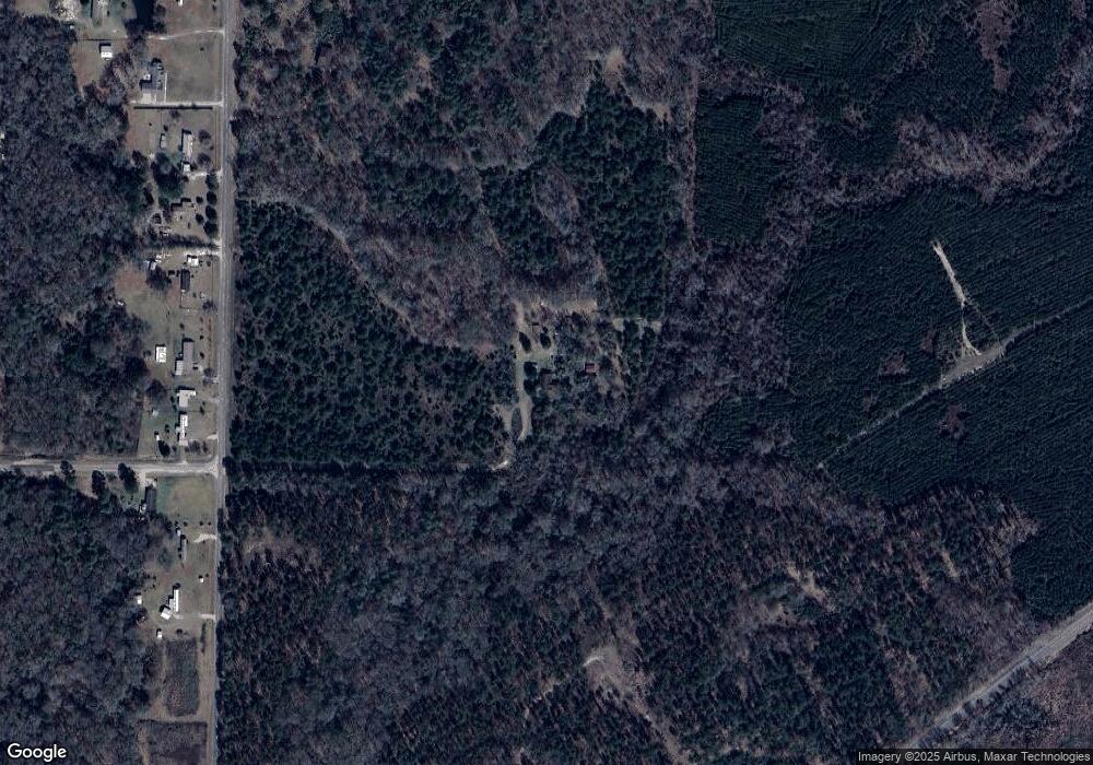 3329 Lambtown Rd, Vienna, GA 31092 - photo 1