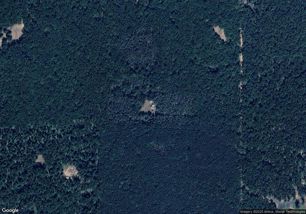 10221 N Centerline Rd, Bitely, MI 49309 - photo 1