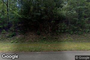 2895 Jr Sims Rd, Irwinton, GA 31042