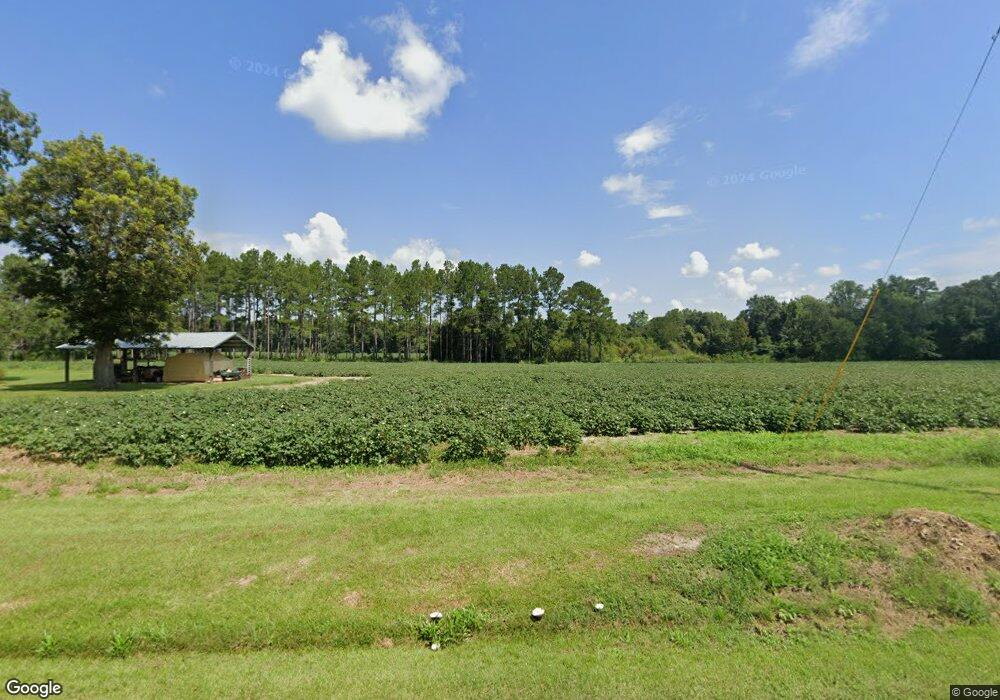 1189 Lewis Rd, Cairo, GA 39828 - photo 1