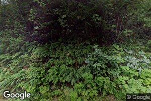 72775 E Snowdown Rd, Brightwood, OR 97011
