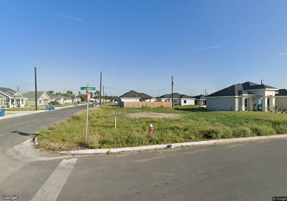 804 Blue Quail St, Alamo, TX 78516 - photo 1