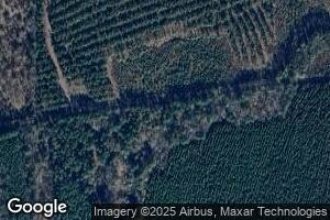 841 Ozment Bluff Rd, Wilmar, AR 71675