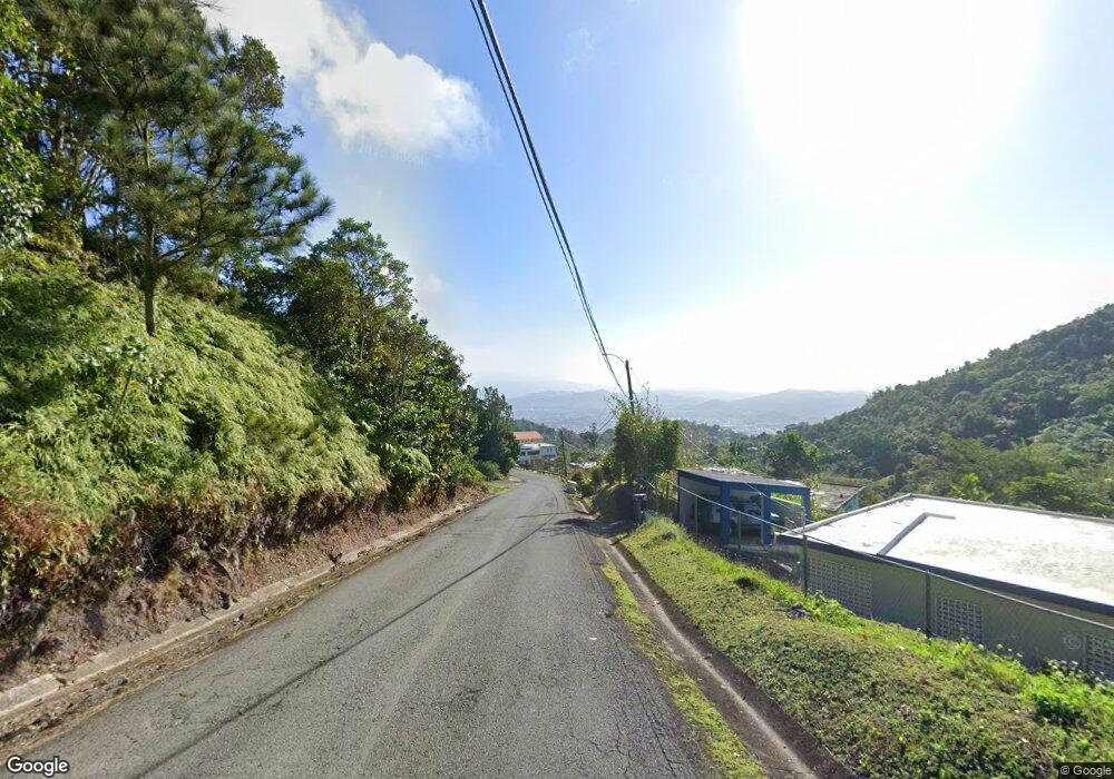 PR 785 Caguitas Norte, Aguas Buenas, PR 00703 - photo 1