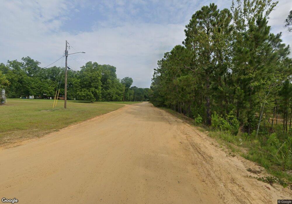 135 S Third, McRae -Helena, GA 31037 - photo 1