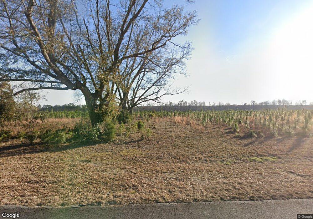 1066 Old Savannah Rd, Ailey, GA 30410 - photo 1