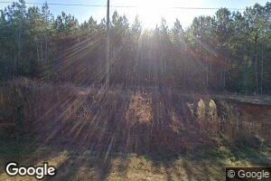 2029 Winfree Rd, Hamilton, GA 31811