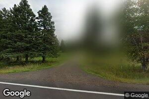 1070 Center Rd, Wright, MN 55798