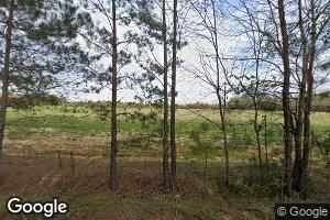 4085 Reese Rd, Gibson, GA 30810