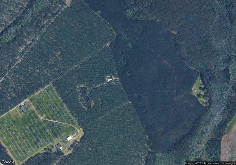 4198 Molly Branch Rd, Blackshear, GA 31516 - photo 1