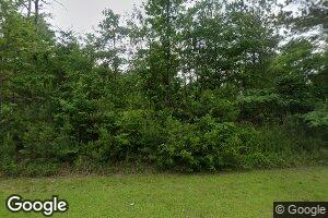 2689 Blue Dirt Rd, Silas, AL 36919