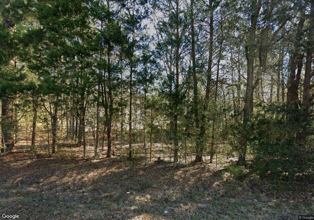 5318 Stage Rd, Meigs, GA 31765 - photo 1
