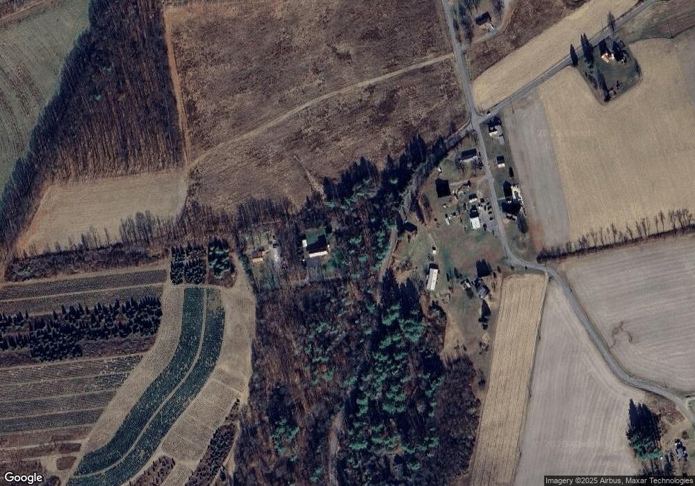 217B Savage Hill Rd, Orangeville, PA 17859 - photo 1