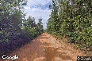 959 Allmon Rd, Butler, GA 31006