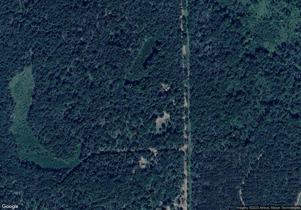 11555 S Merrillville Rd, Baldwin, MI 49304 - photo 1