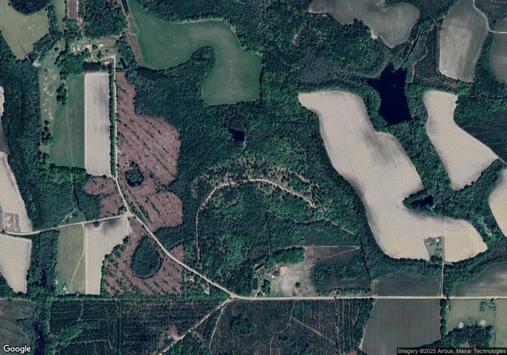 3689 Joe Ellis Rd, Broxton, GA 31519 - photo 1