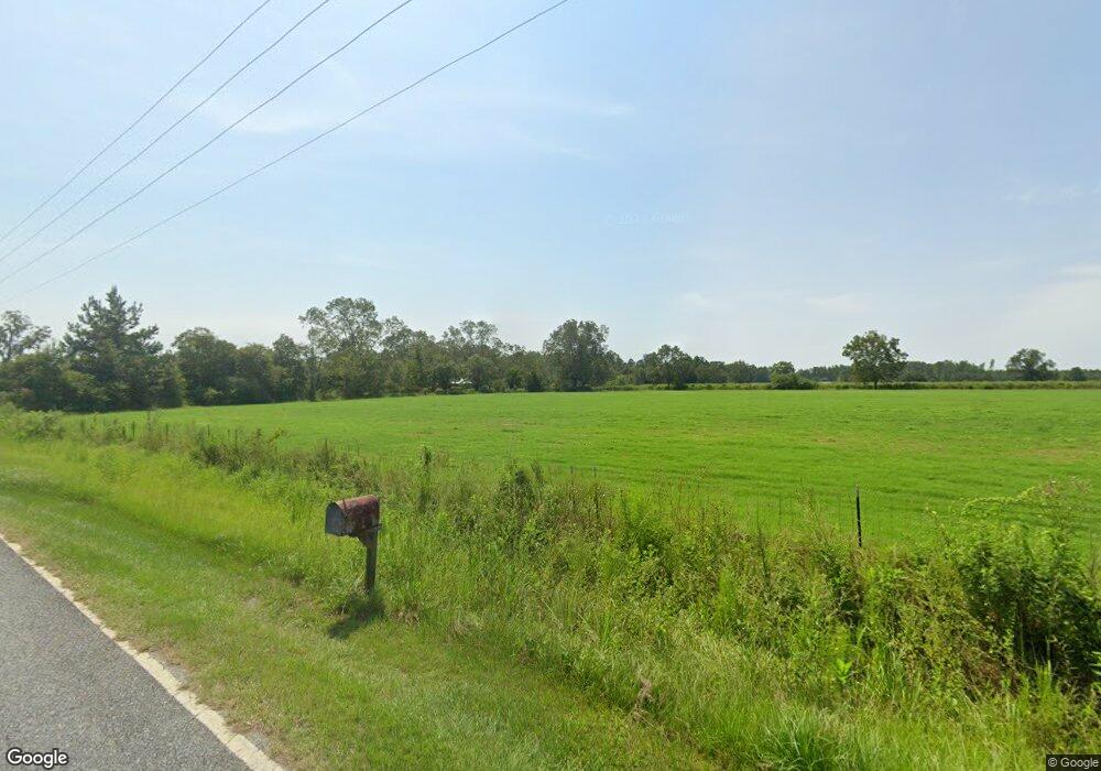 3124 Mount Calvary Rd, Hoboken, GA 31542 - photo 1