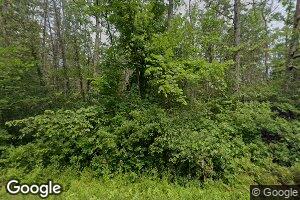 W10668 Winkle Rd, Gresham, WI 54128