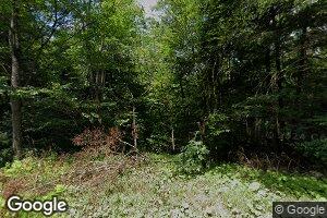 196 Joy Gardens Rd, Wilcox, PA 15870