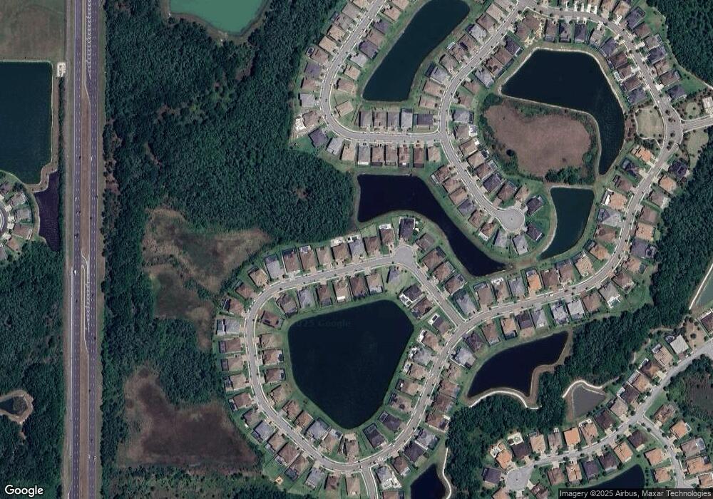 28424 Picana Ln, Wesley Chapel, FL 33543 - photo 1