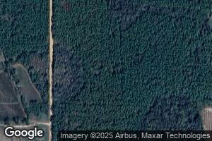 4035 County Road 6, Black, AL 36314