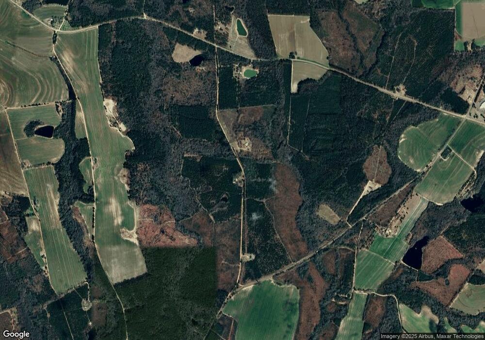 0 Larry Miles Rd, Metter, GA 30439 - photo 1