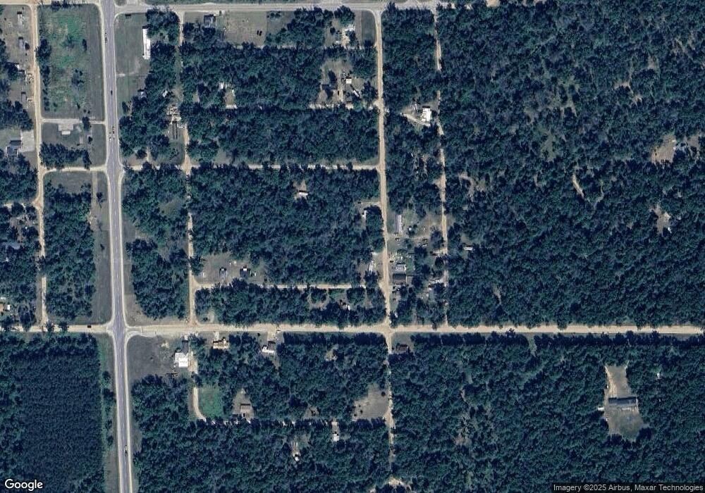 2317 W Mohawk St, Baldwin, MI 49304 - photo 1