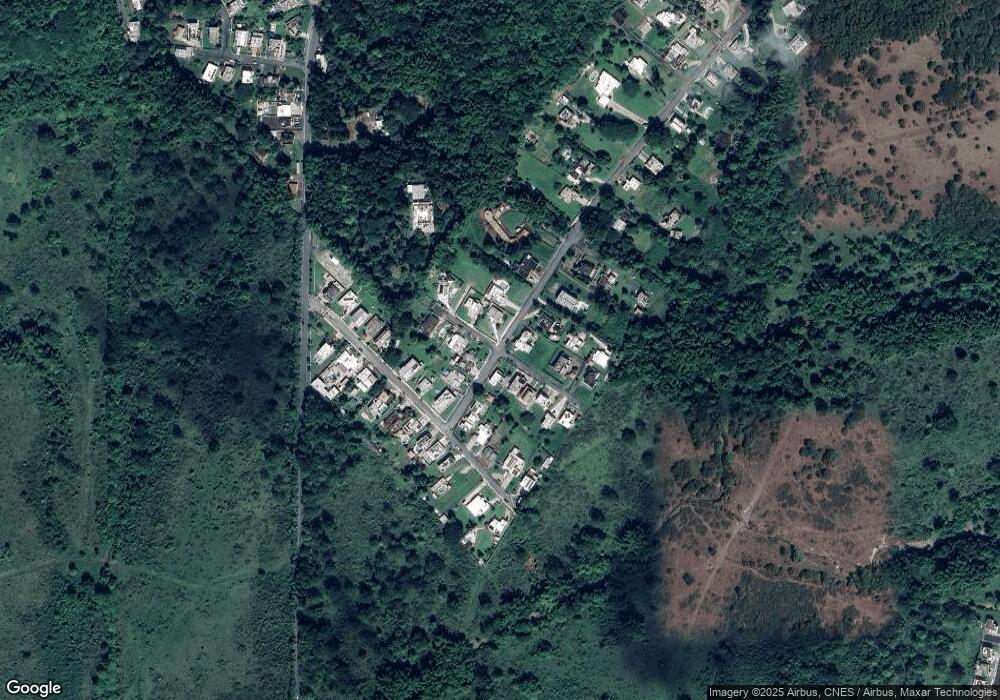 26 Calle Pitirre, San Lorenzo, PR 00754 - photo 1